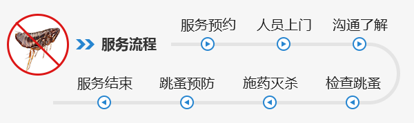 香洲区跳蚤防制 香洲区灭杀跳蚤 香洲区快